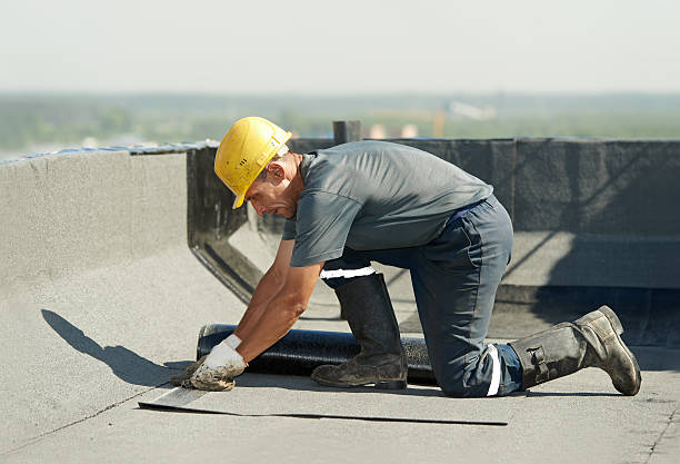 Best Insulation Maintenance and Repair in West Yellowstone, MT