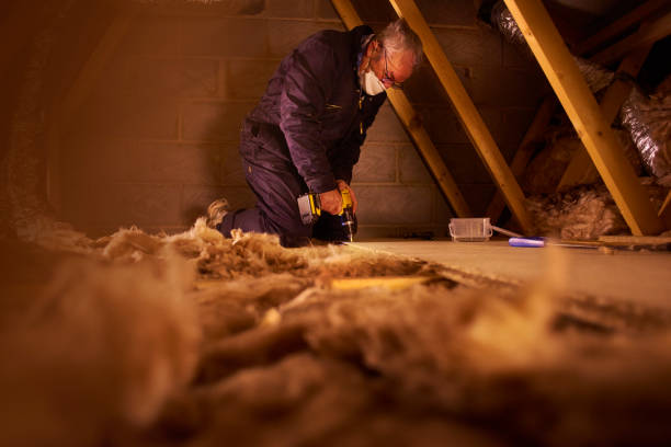 Best Geographic-Specific Insulation Services in West Yellowstone, MT